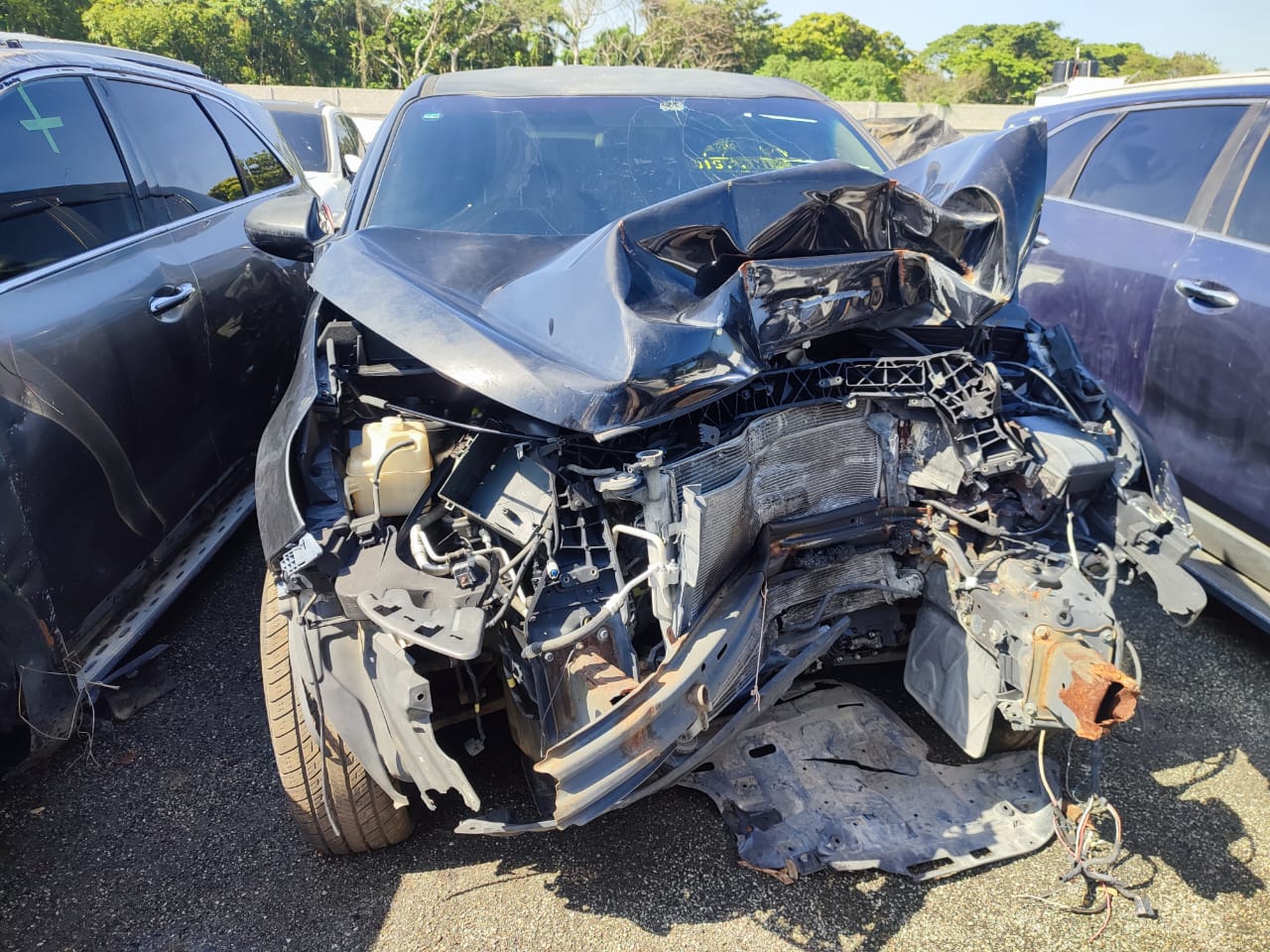 KIA SPORTAGE 2016 #PAA.8-1244 - Imagen 3