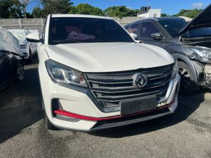 DONGFENG GLORY 2022 #OUA.8-6710