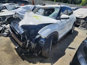 HYUNDAI CANTUS 2021 #TIA.8-4454