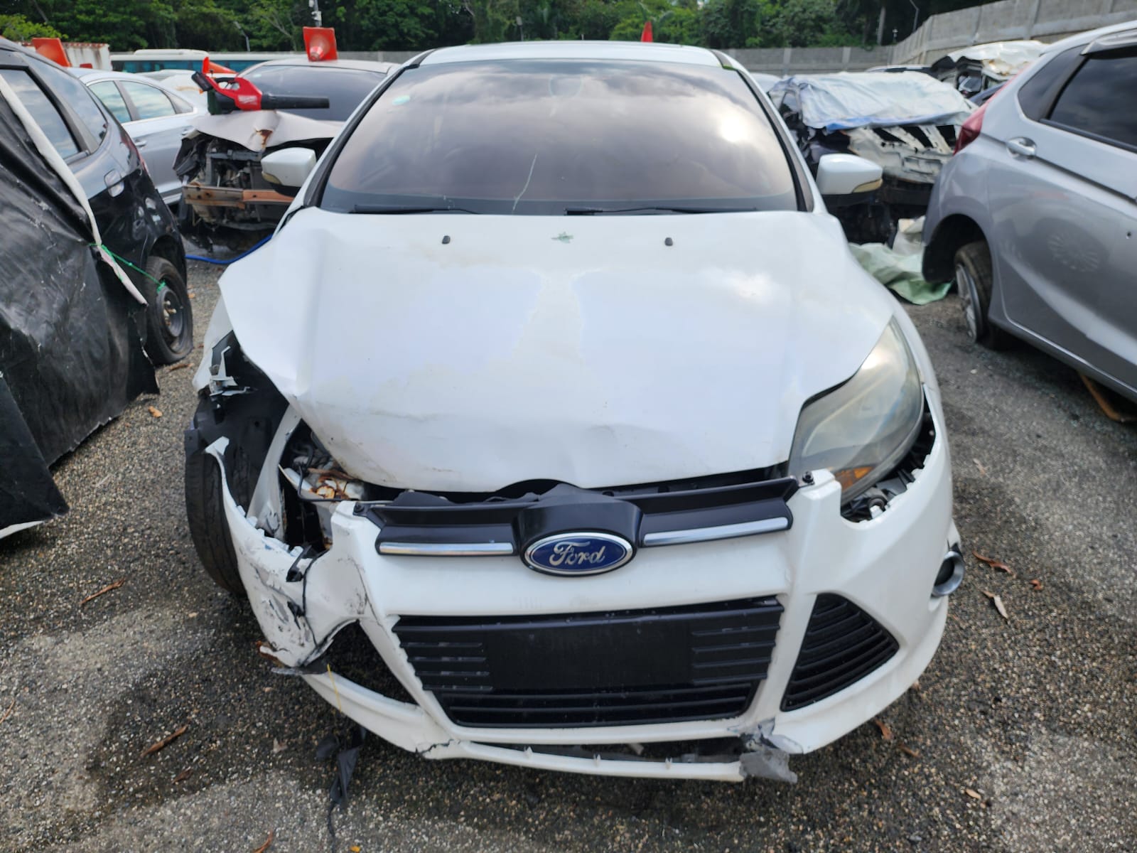 FORD FOCUS 2012 #UA.8-8426