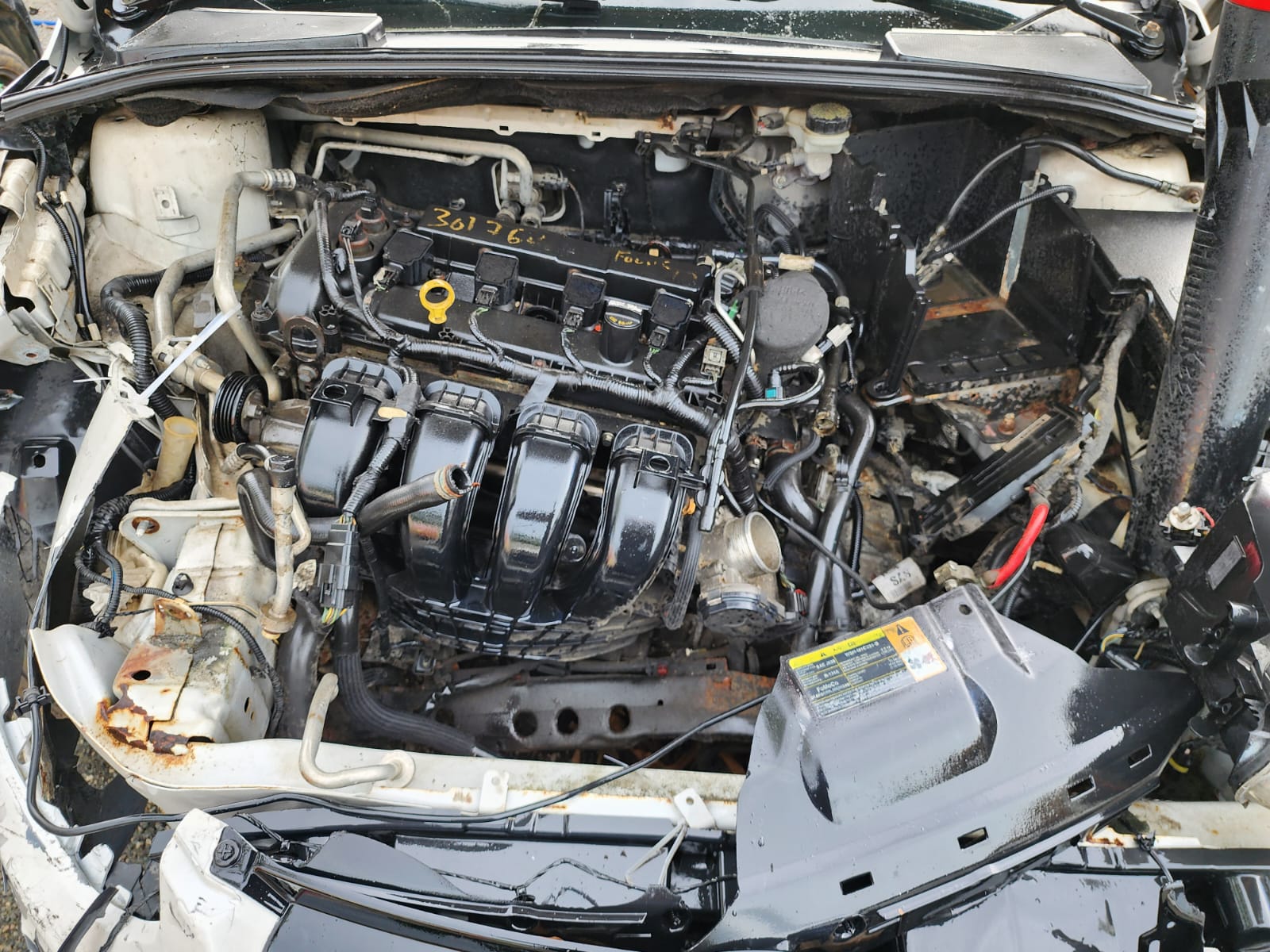 FORD FOCUS 2012 #UA.8-8426 - Imagen 2