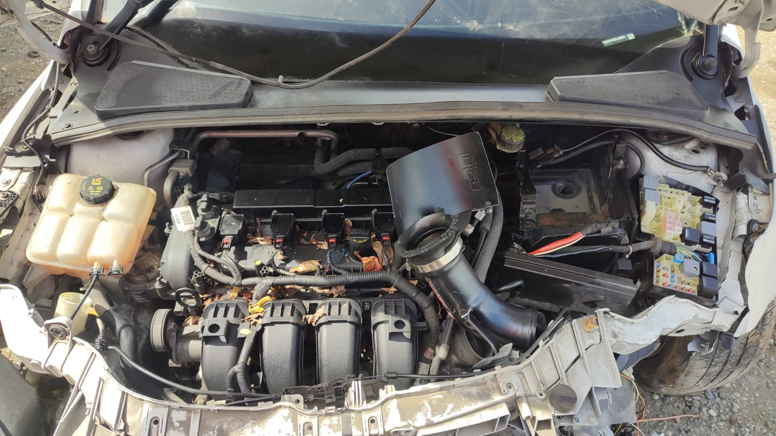 FORD FOCUS 2014 #HTA.8-9300 - Imagen 7