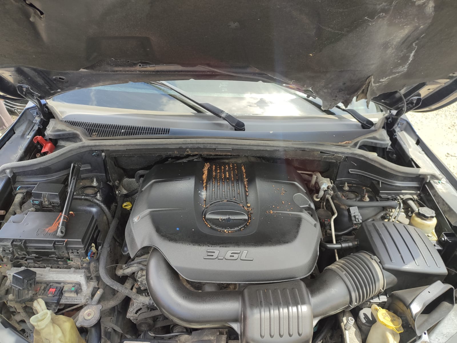 JEEP GRAND CHEROKEE 2011 #PPA.8-3289 - Imagen 8