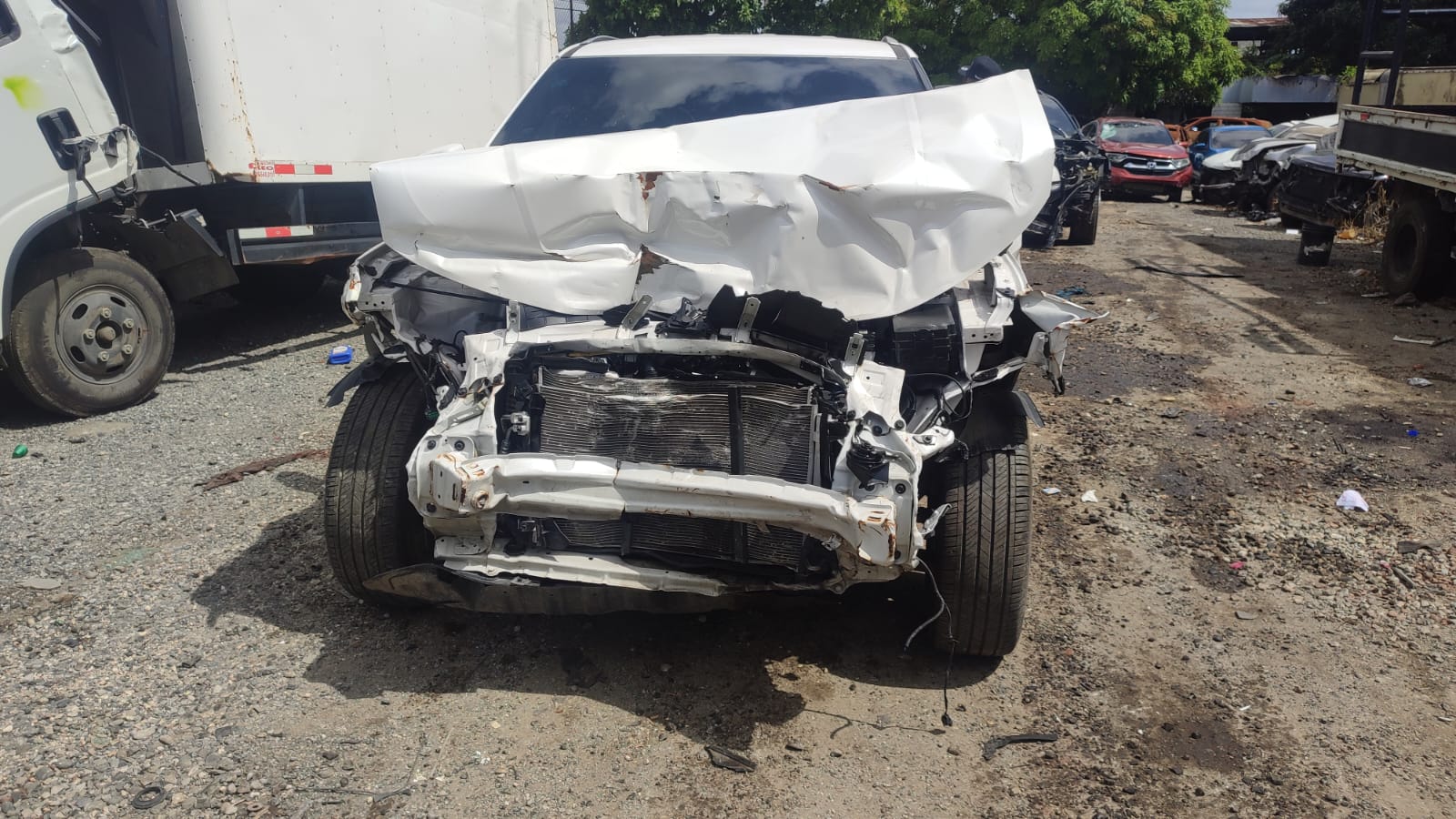 HYUNDAI CANTUS 2024 #UNT.8-6935 - Imagen 7