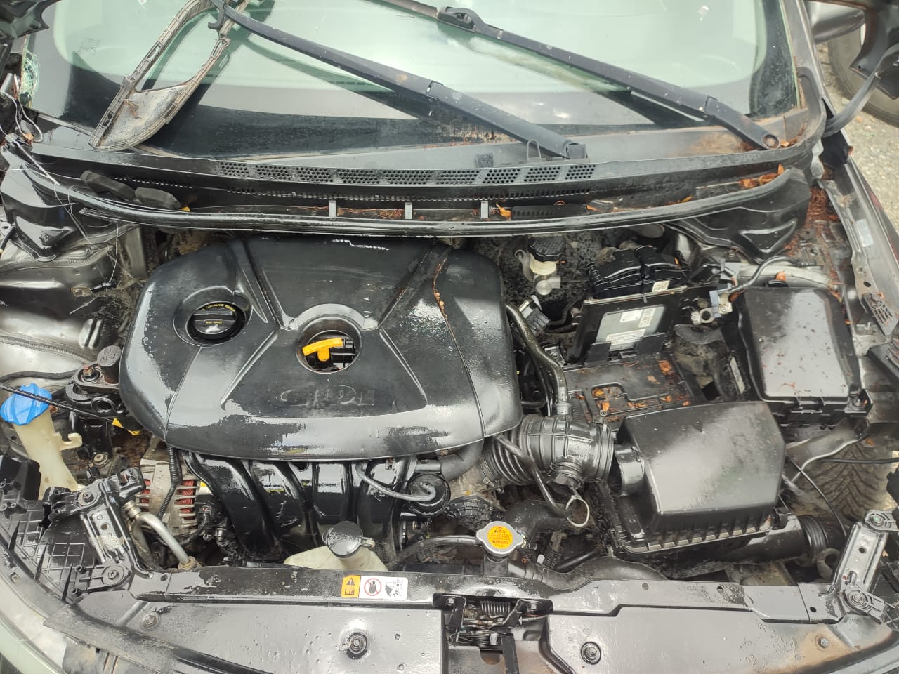 KIA FORTE 2014 #PIA.8-4949 - Imagen 3