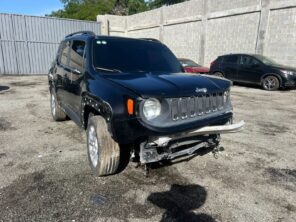 JEEP RENEGADE 2016 #PNT.8-4252