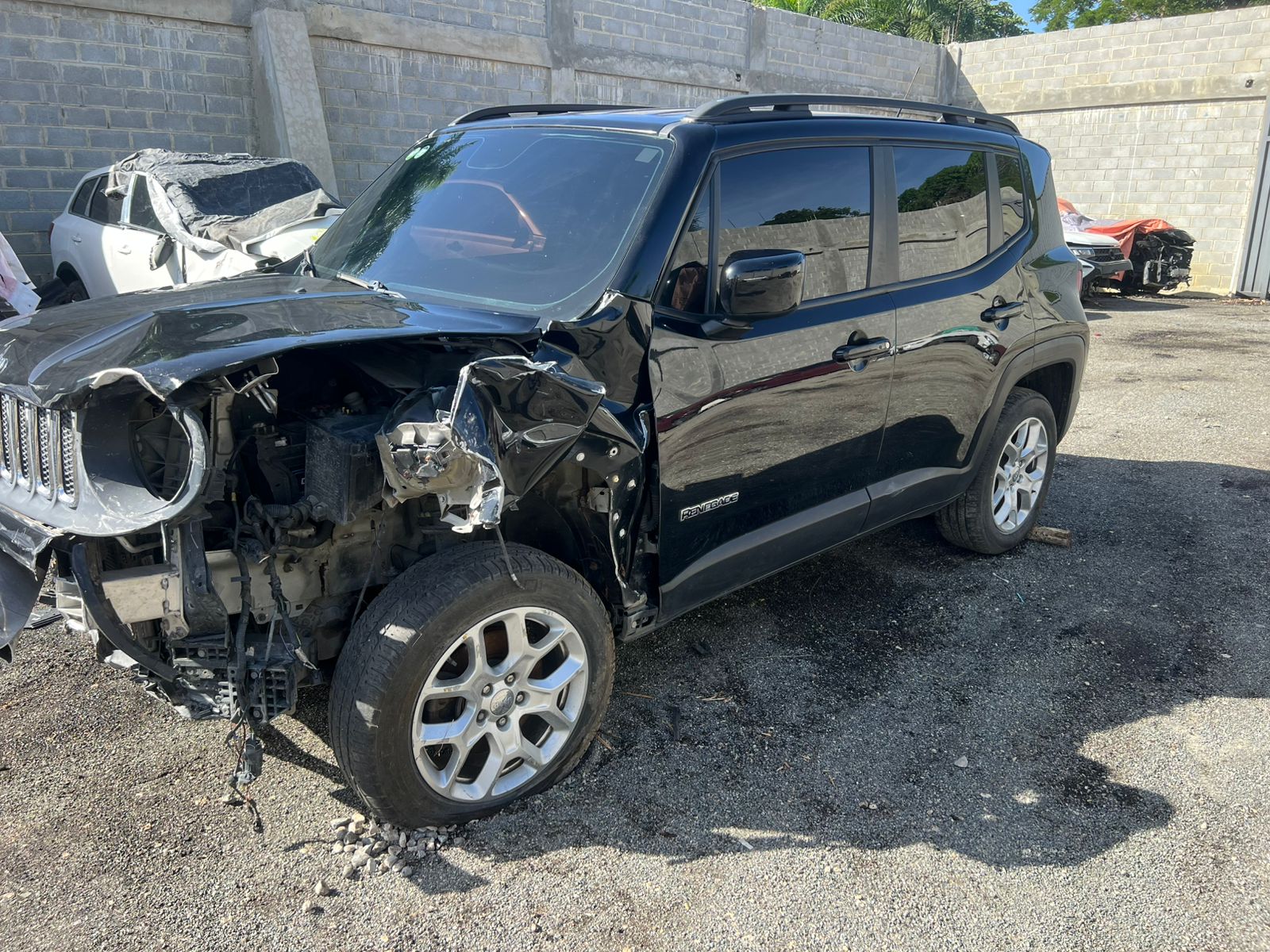 JEEP RENEGADE 2016 #PNT.8-4252 - Imagen 6