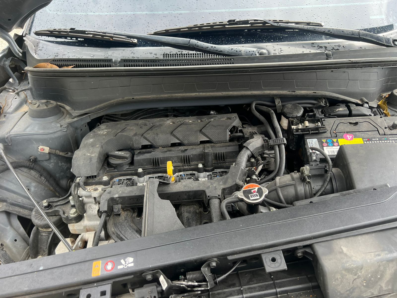 HYUNDAI VENUE 2020 #PNT.8-8206 - Imagen 3