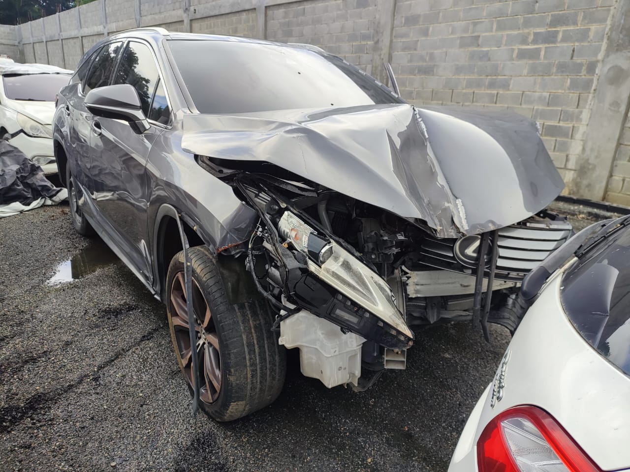 LEXUS RX350 2019 #UAA.8-1727