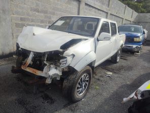 DONGFENG RICH 4X4 2020 #PTA.8-0068