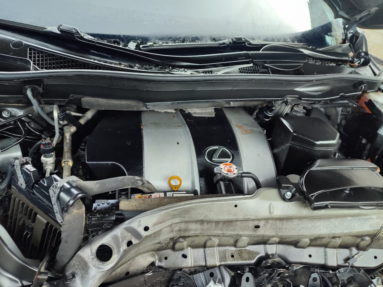 LEXUS RX350 2019 #UAA.8-1727 - Imagen 7