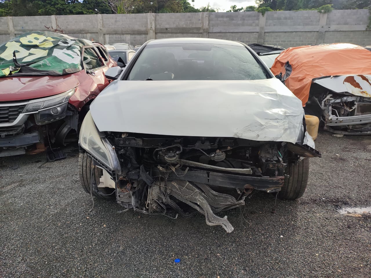 HYUNDAI SONATA LF 2019 #PTA.8-4961 - Imagen 6