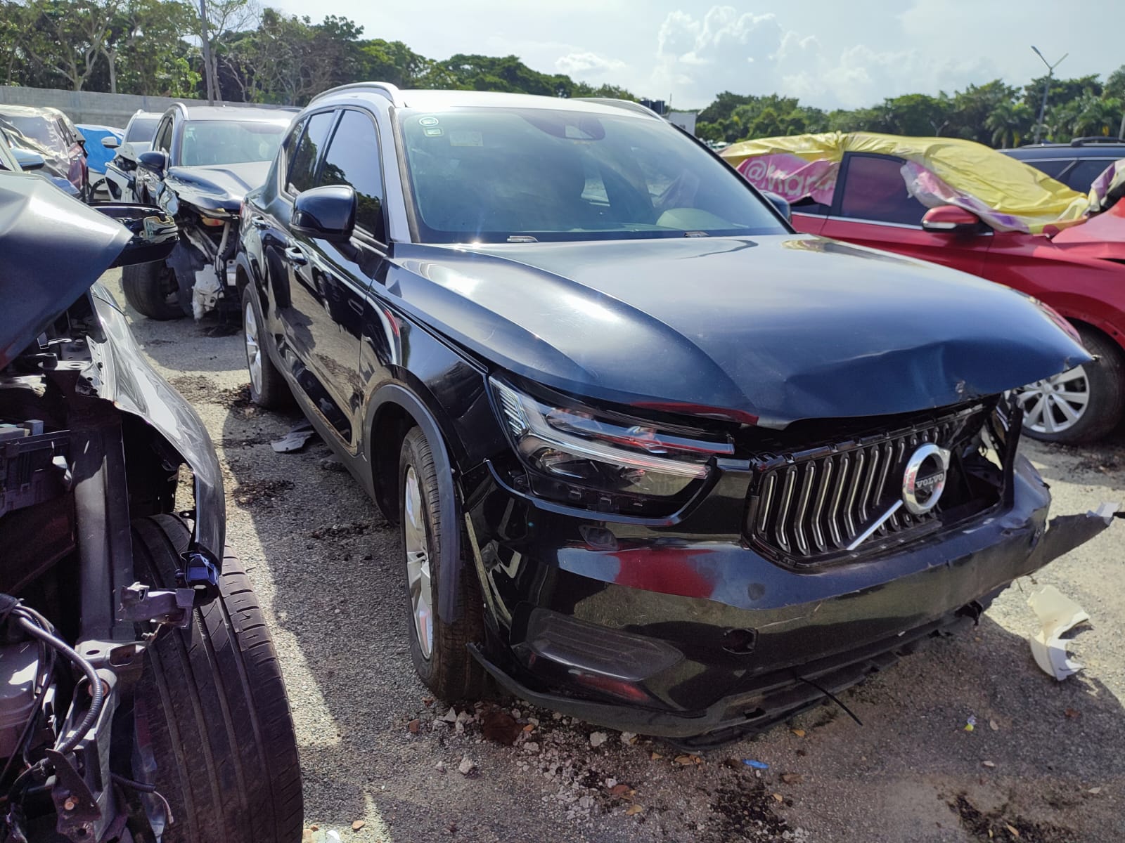 VOLVO XC40 2018 #UTA.8-4006 - Imagen 8