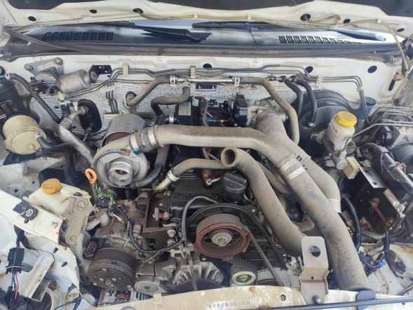 DONGFENG RICH 4X4 2020 #PTA.8-0068 - Imagen 8