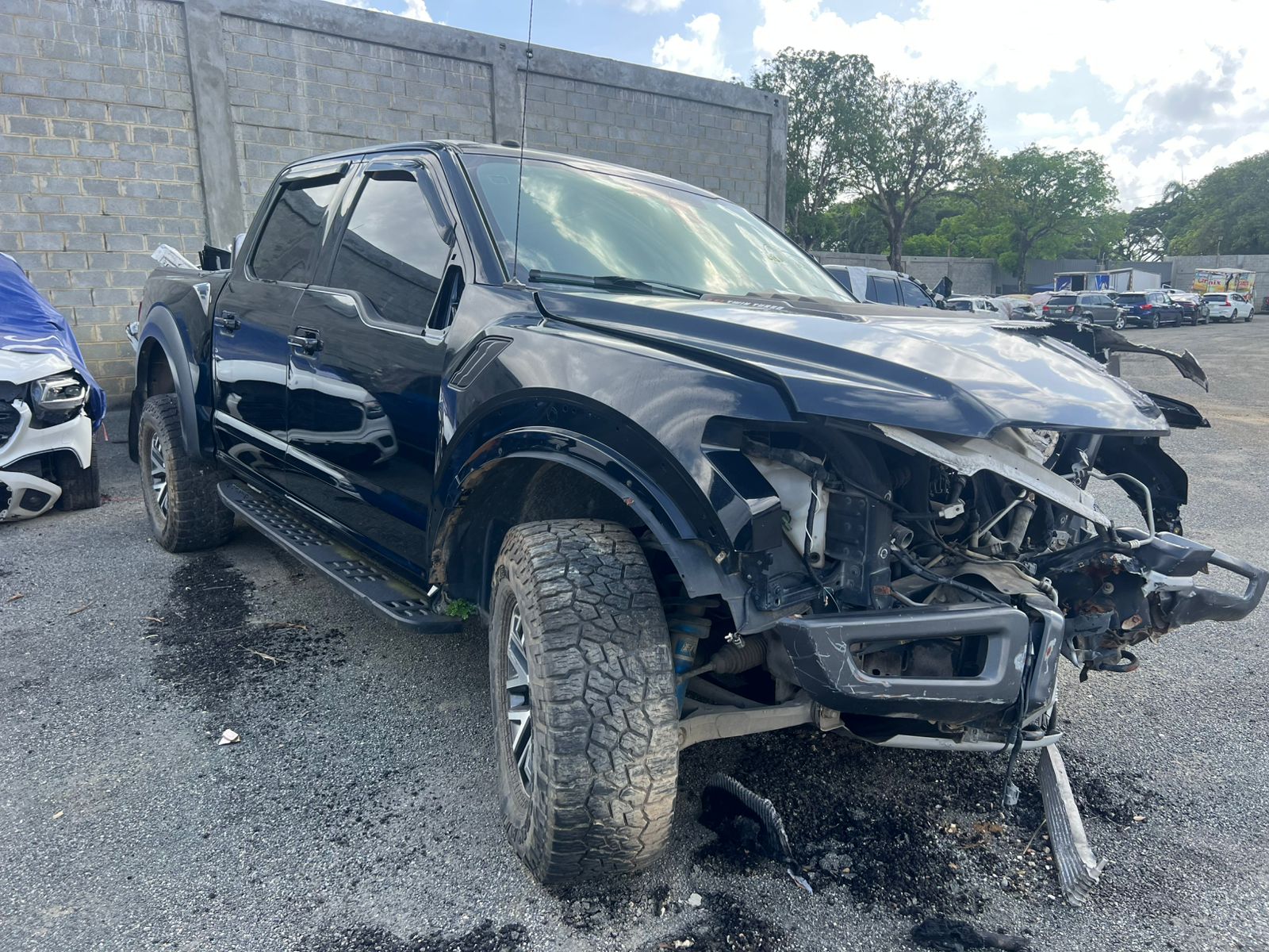 FORD F150 RAVTOR SVT 2018 #HITA.8-7369 - Imagen 6
