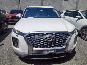 HYUNDAI PALISADE 3.8 2020 AHOGADO #HTIT.8-2882