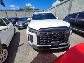 HYUNDAI PALISADE 3.8 2023 AHOGADO #HUTA.8-8419
