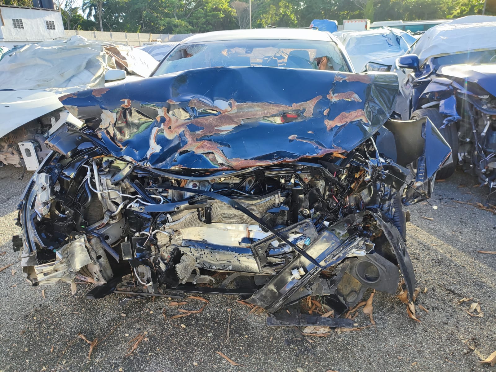 HONDA CIVIC EX 2016 #PAA.8-0080 - Imagen 3