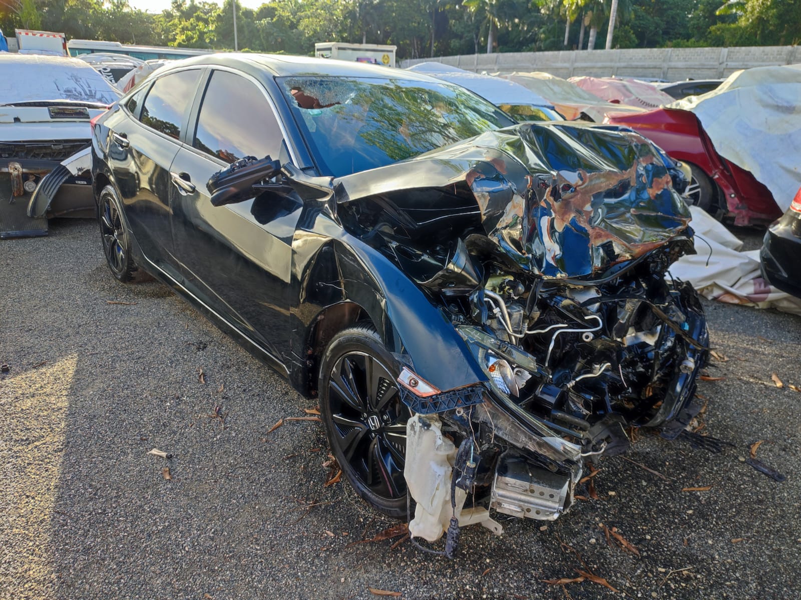 HONDA CIVIC EX 2016 #PAA.8-0080 - Imagen 7