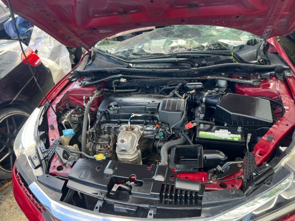 HONDA ACCORD SPORT 2017 #PNT.8-3975 - Imagen 6