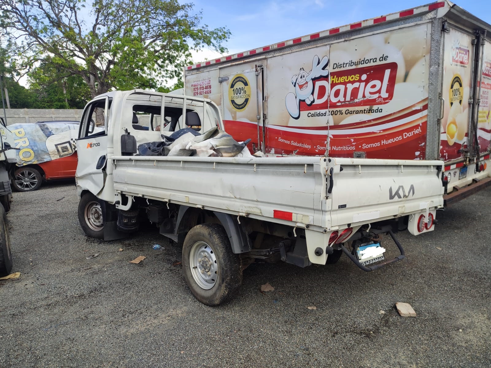 KIA K2700 2024 #PEA.8-0918 - Imagen 4