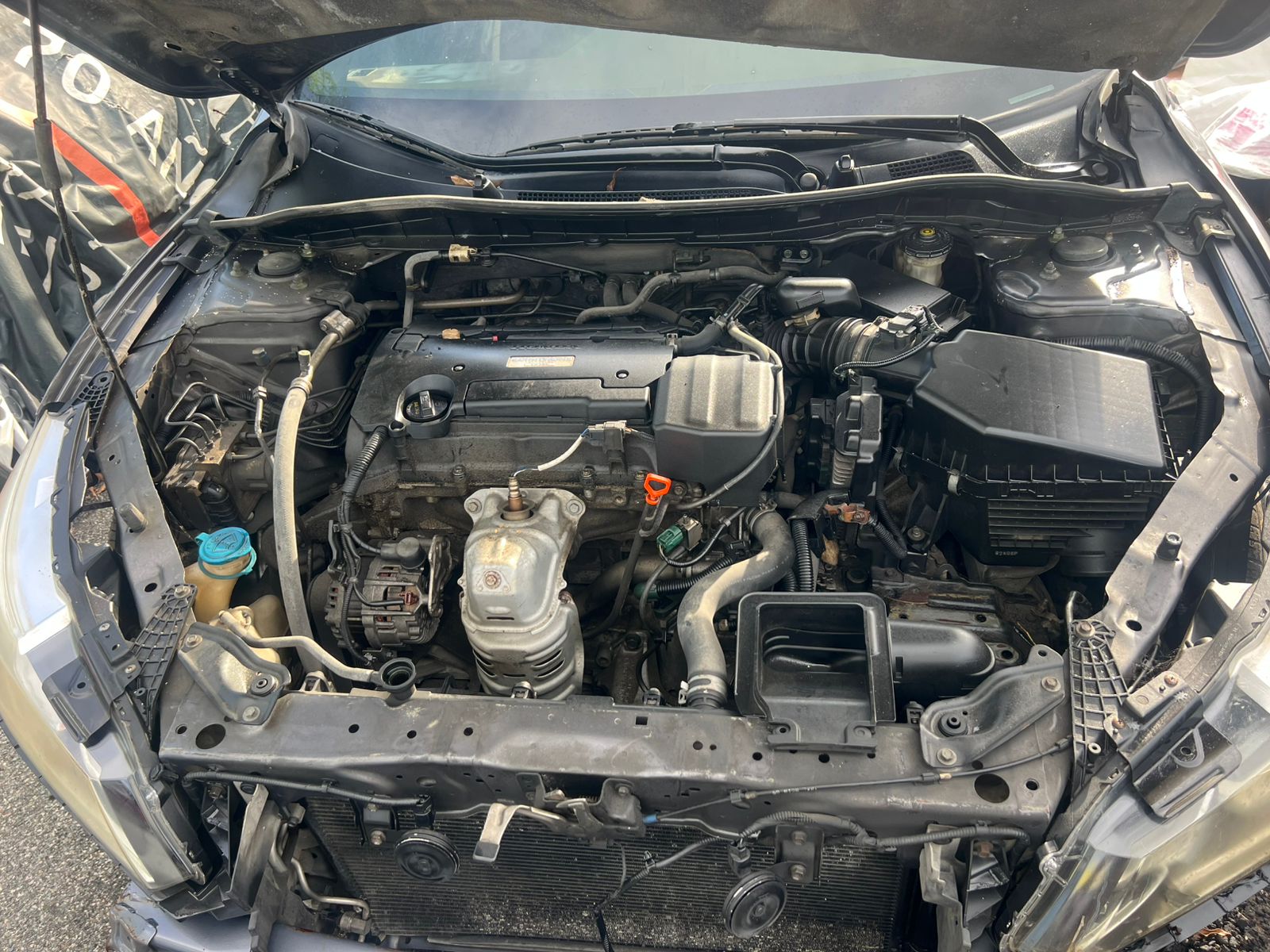 HONDA ACCORD 2017 #OAA.8-9697 - Imagen 10