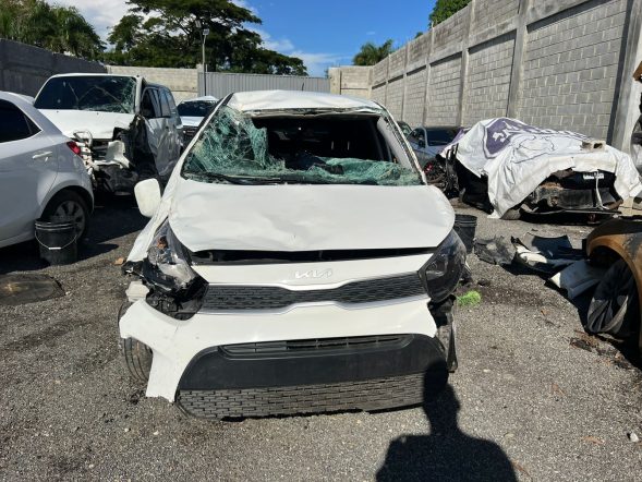 KIA PICANTO 2024 #OIT.8-4228 - Imagen 4