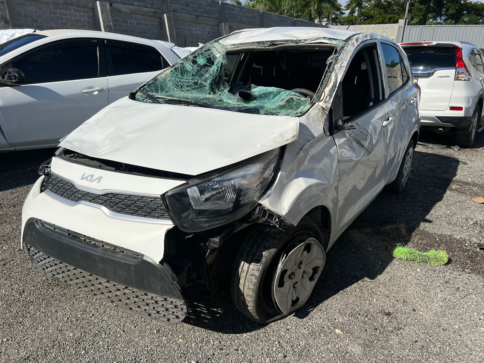 KIA PICANTO 2024 #OIT.8-4228 - Imagen 8