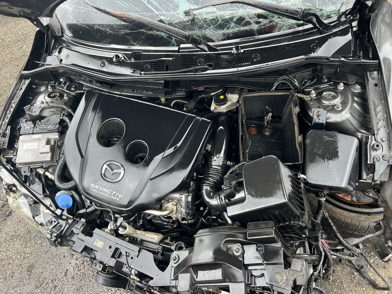 MAZDA DEMIO 2018 #PIA.8-3309 - Imagen 5