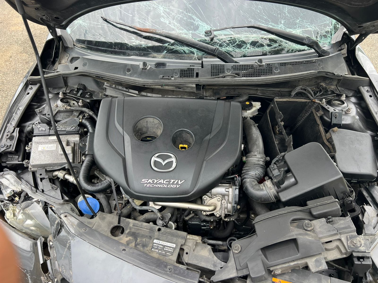 MAZDA DEMIO 2018 #PIA.8-3309 - Imagen 8