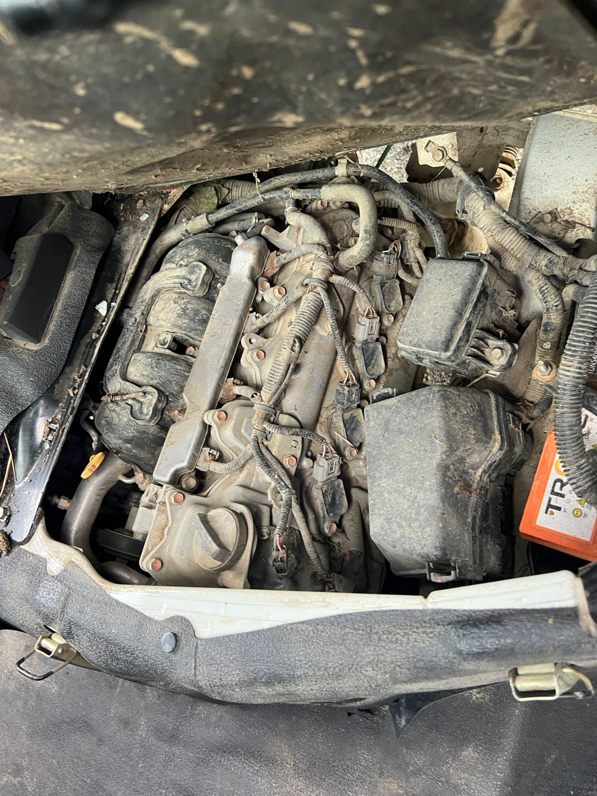 TOYOTA LITE ACE 2023 #ONT.8-3077 - Imagen 3