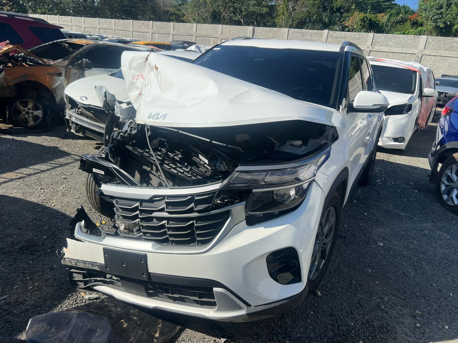 KIA SELTOS 2026 #HAAA.8-0944