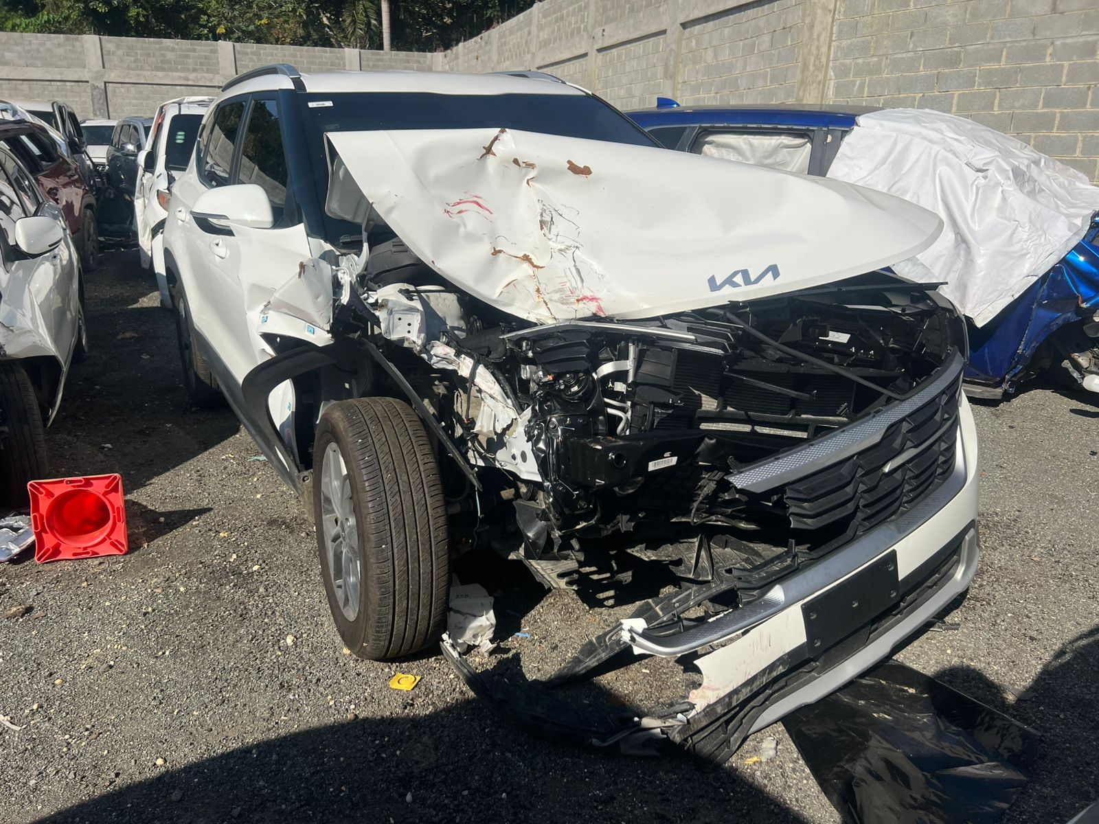 KIA SELTOS 2026 #HAAA.8-0944 - Imagen 4