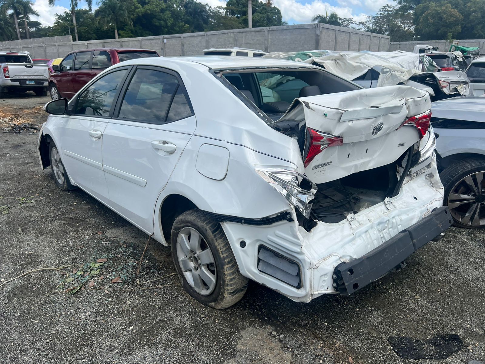 TOYOTA COROLLA 2019 #EAA.8-2066 - Imagen 3