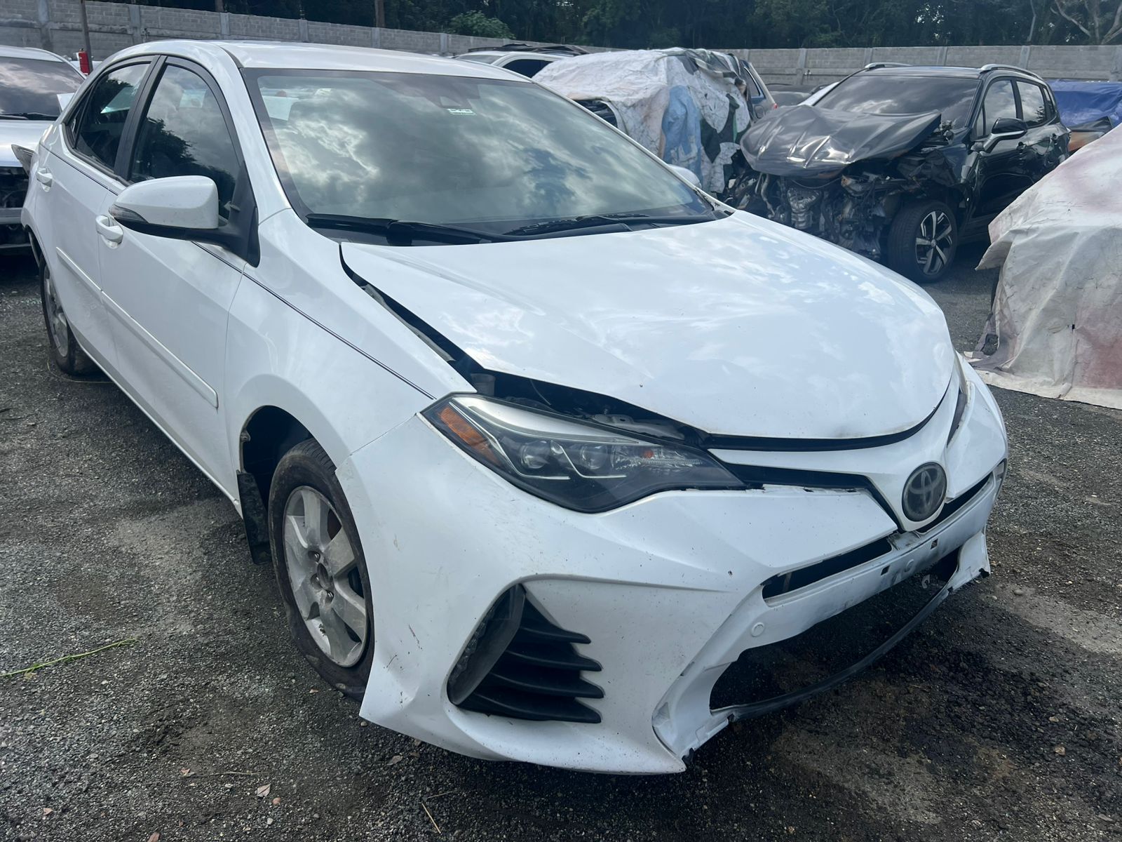 TOYOTA COROLLA 2019 #EAA.8-2066 - Imagen 5