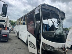 KING LONG 2024 #OTA.8- SIN PAPELES, COMPLETO PARA PIEZAS