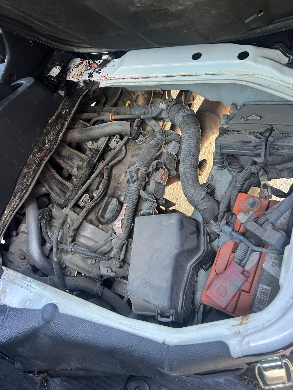 DAIHATSU HIJET 2019 #PIA-8136 - Imagen 8