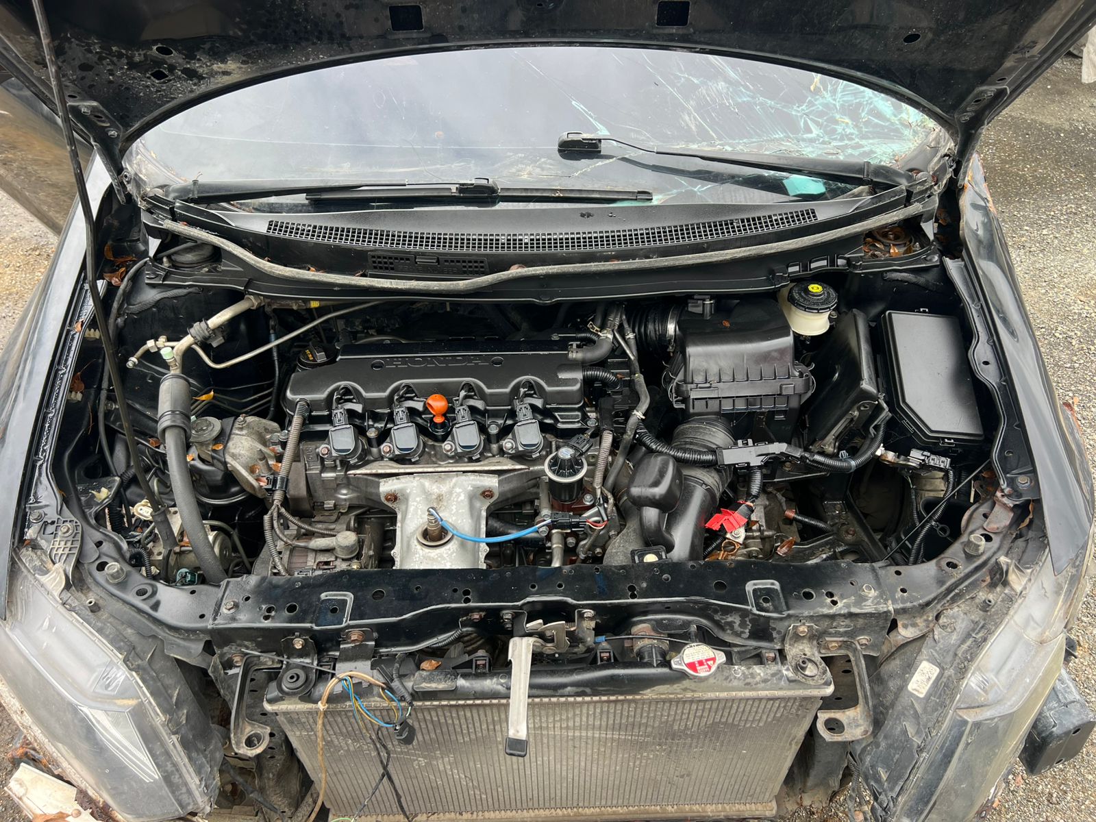 HONDA CIVIC EX 2015 # IUA-1719 - Imagen 7