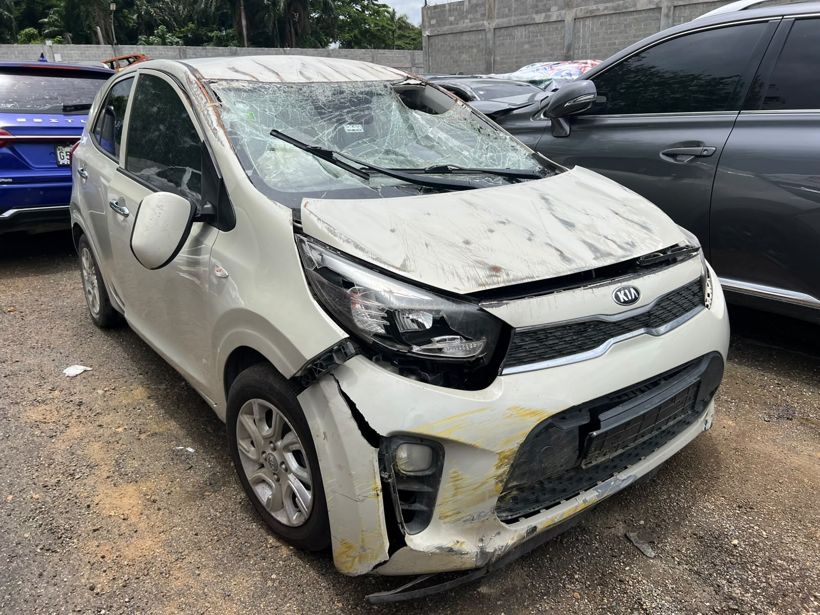 KIA MORNING 2020 #POA.8-0726 - Imagen 6