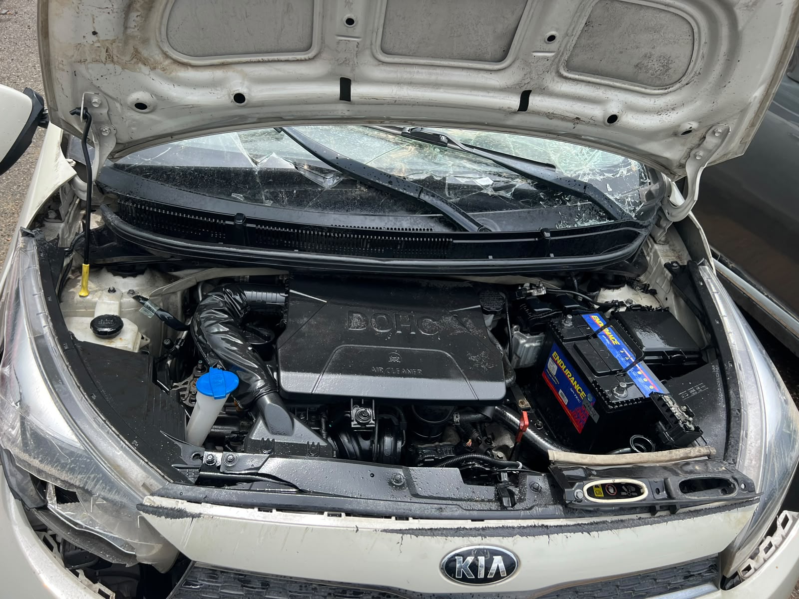 KIA MORNING 2020 #POA.8-0726 - Imagen 7