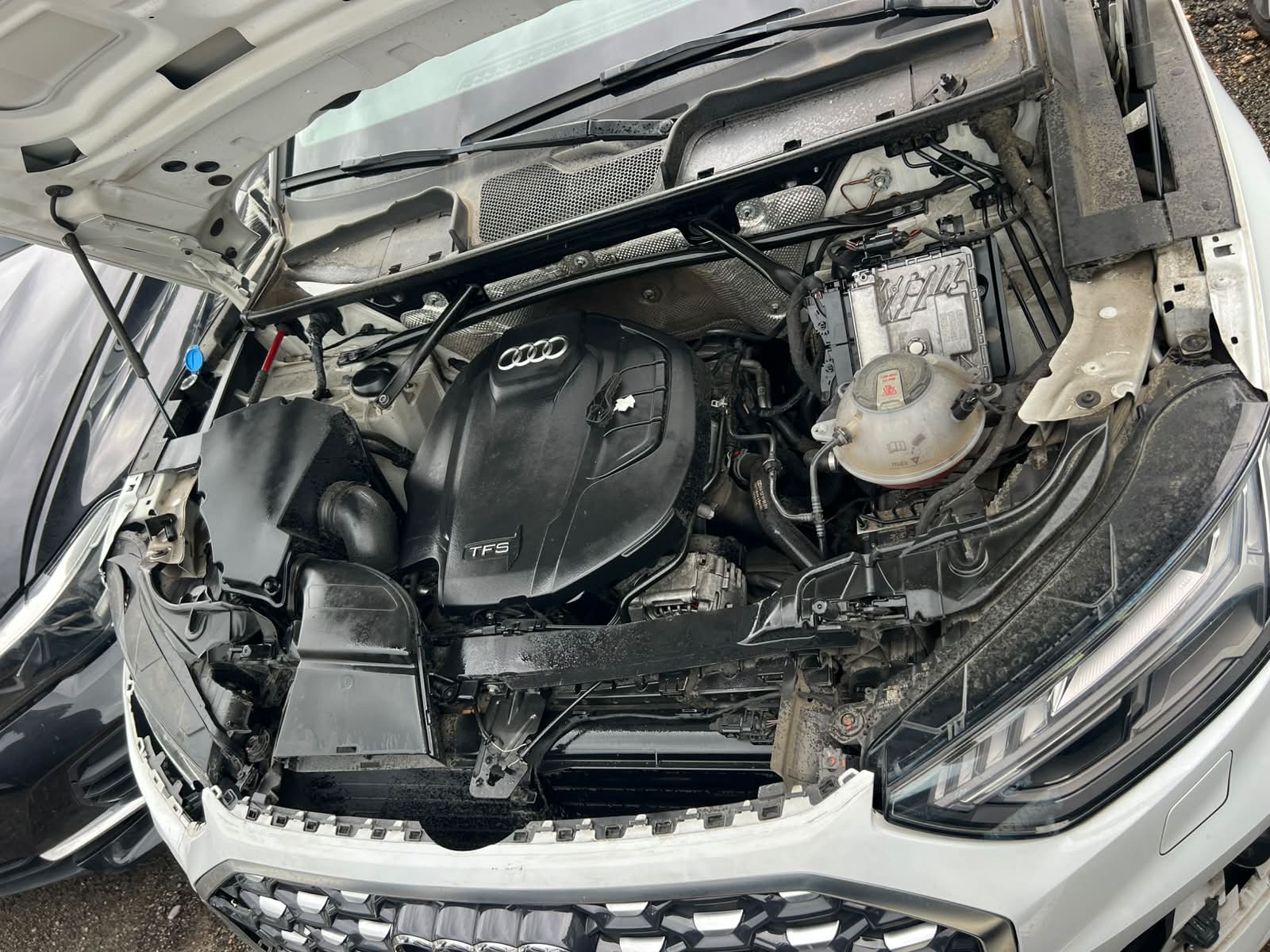 AUDI Q5 2021 #STA.8-4902 - Imagen 3