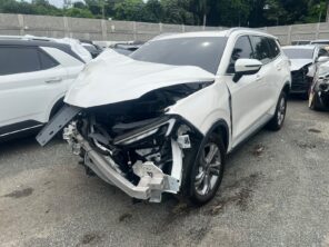 FORD TERRITORY 2024 #EAA.8-5060