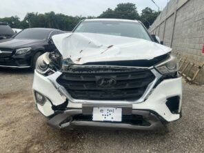 HYUNDAI CANTUS 2019 #TTA.8-8358