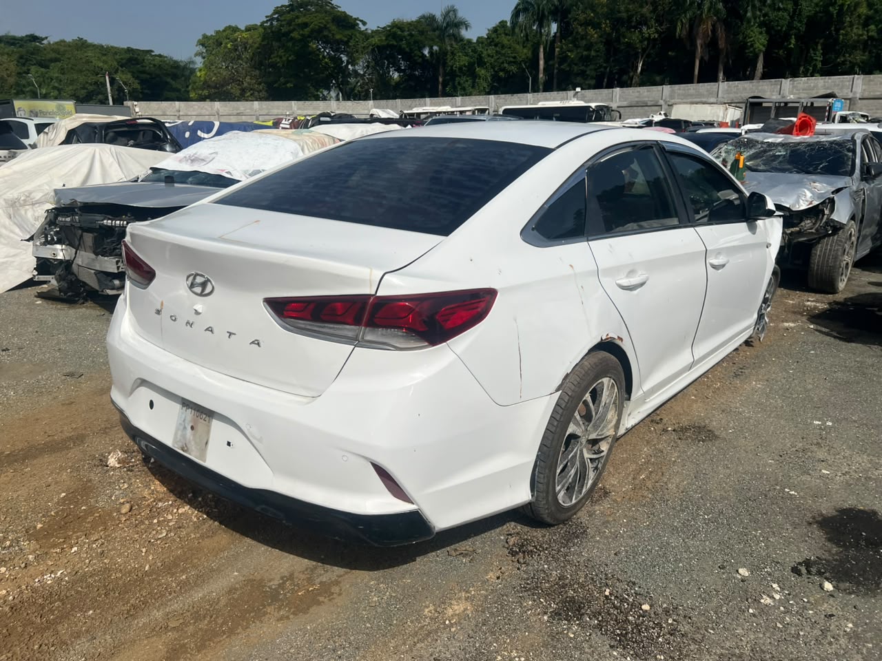 HYUNDAI SONATA NEW RISE 2019 #OIT.8-3851 - Imagen 4