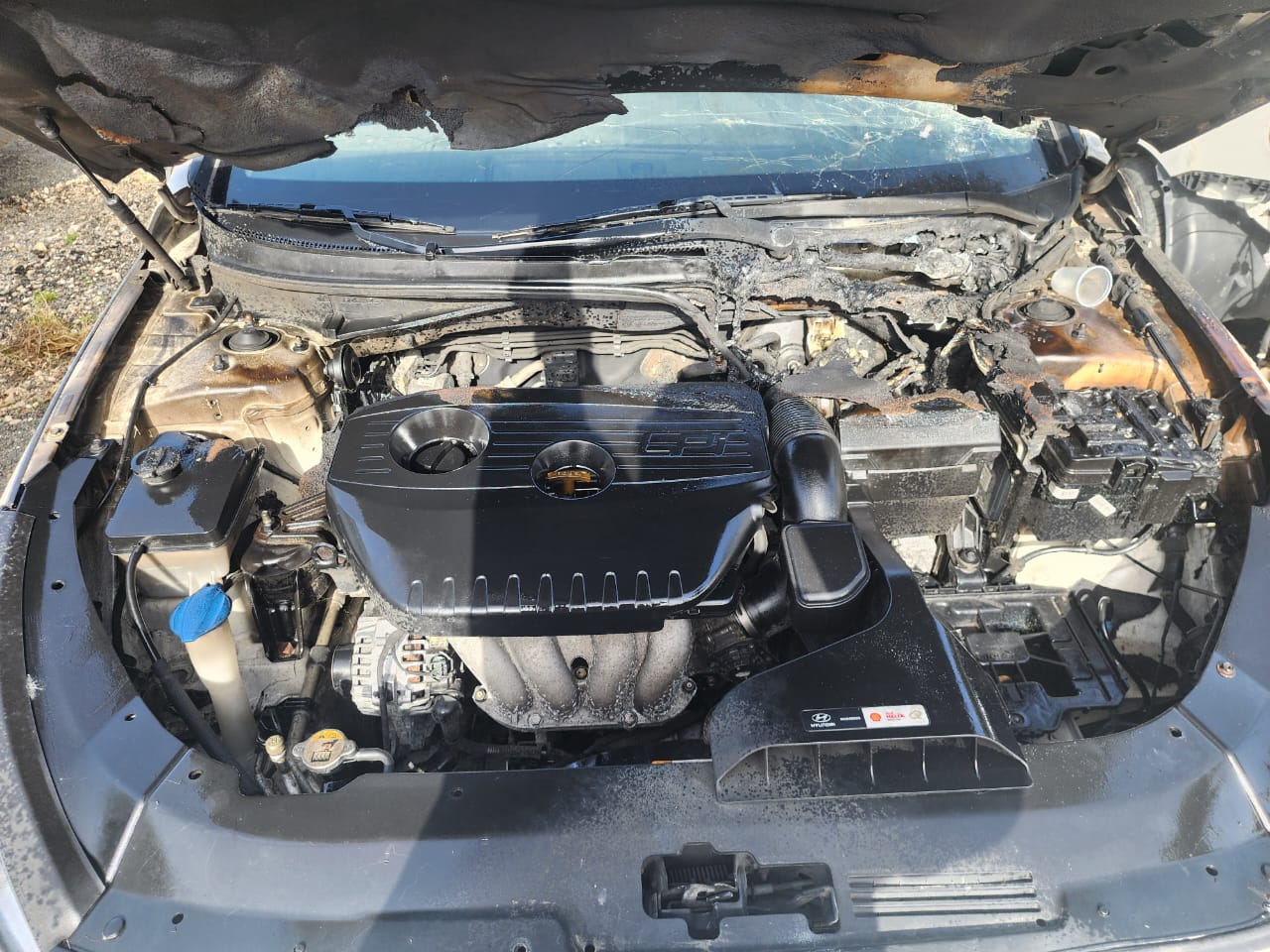 HYUNDAI SONATA NEW RISE 2019 #PNT.8-1654 - Imagen 3