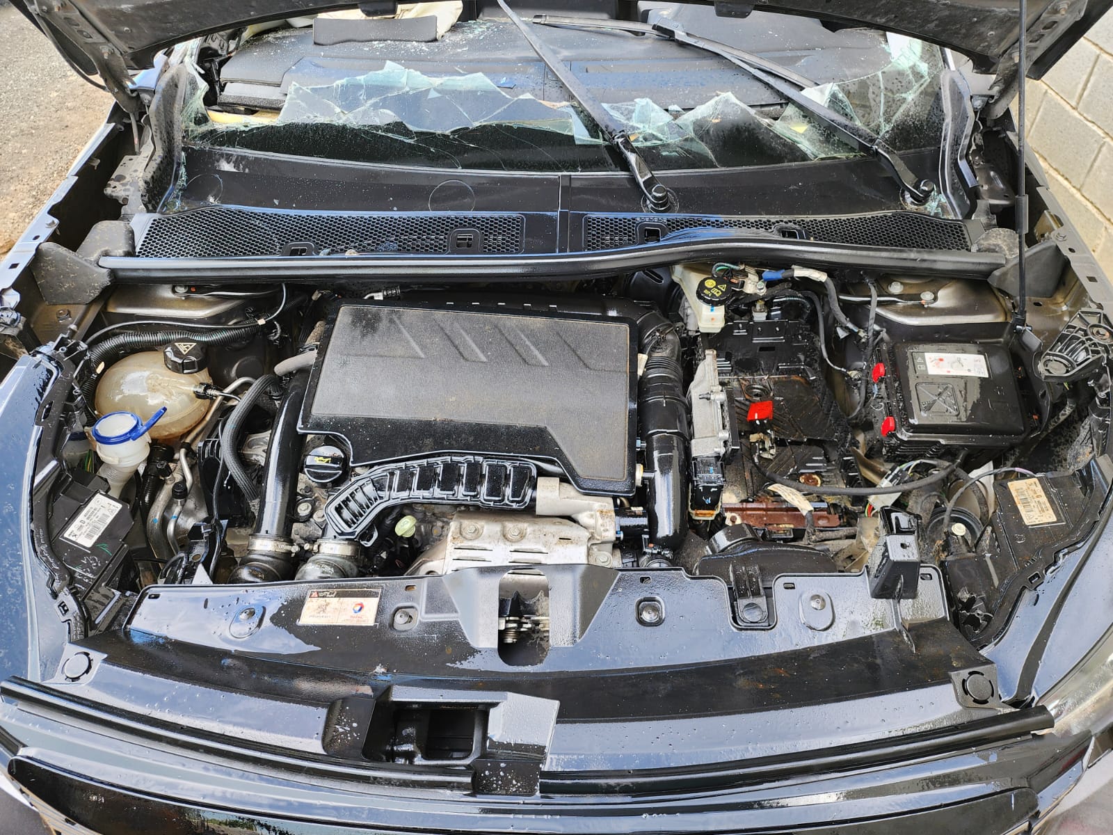 PEUGEOT 2008 2023 #TIA.8-8128 - Imagen 8