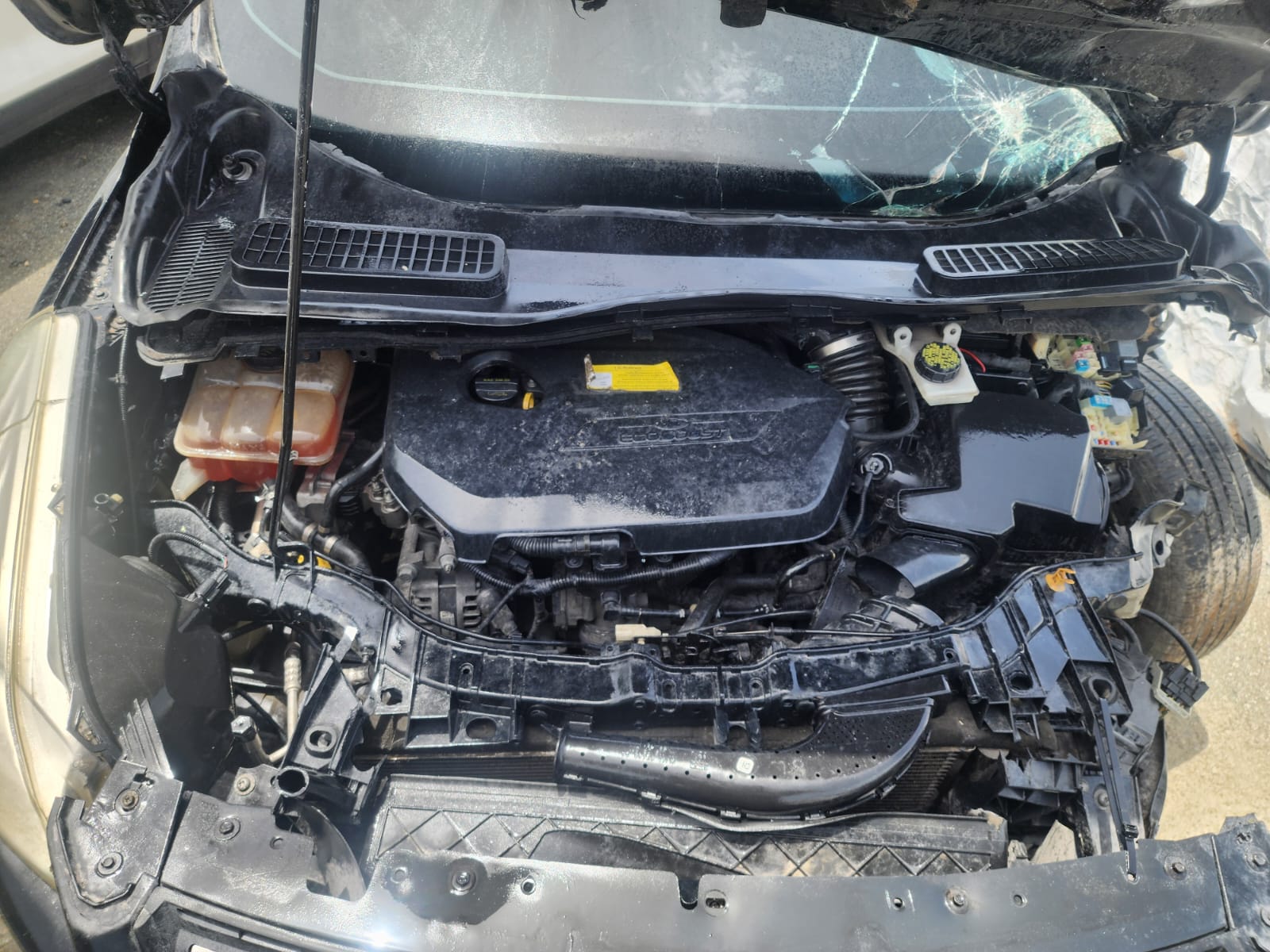FORD ESCAPE 2016 #HIA.8-5036 - Imagen 5