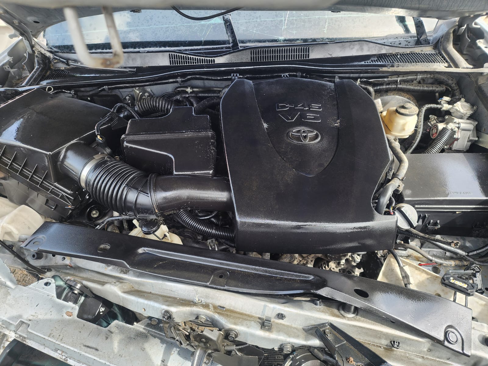 TOYOTA TACOMA 2021 #SIT.8-7057 - Imagen 5