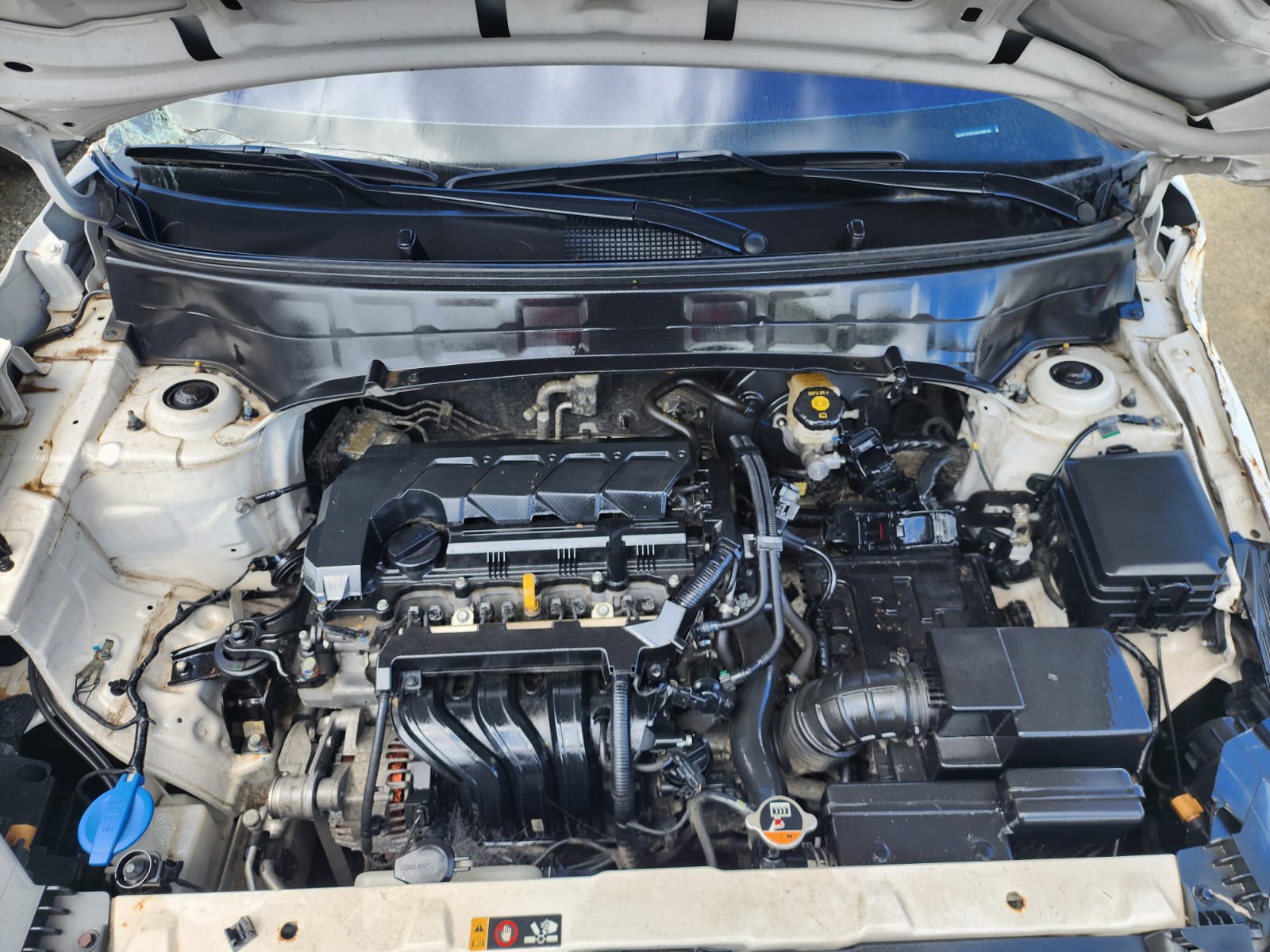 HYUNDAI CANTUS 2023 #NIA.8-6796 - Imagen 6