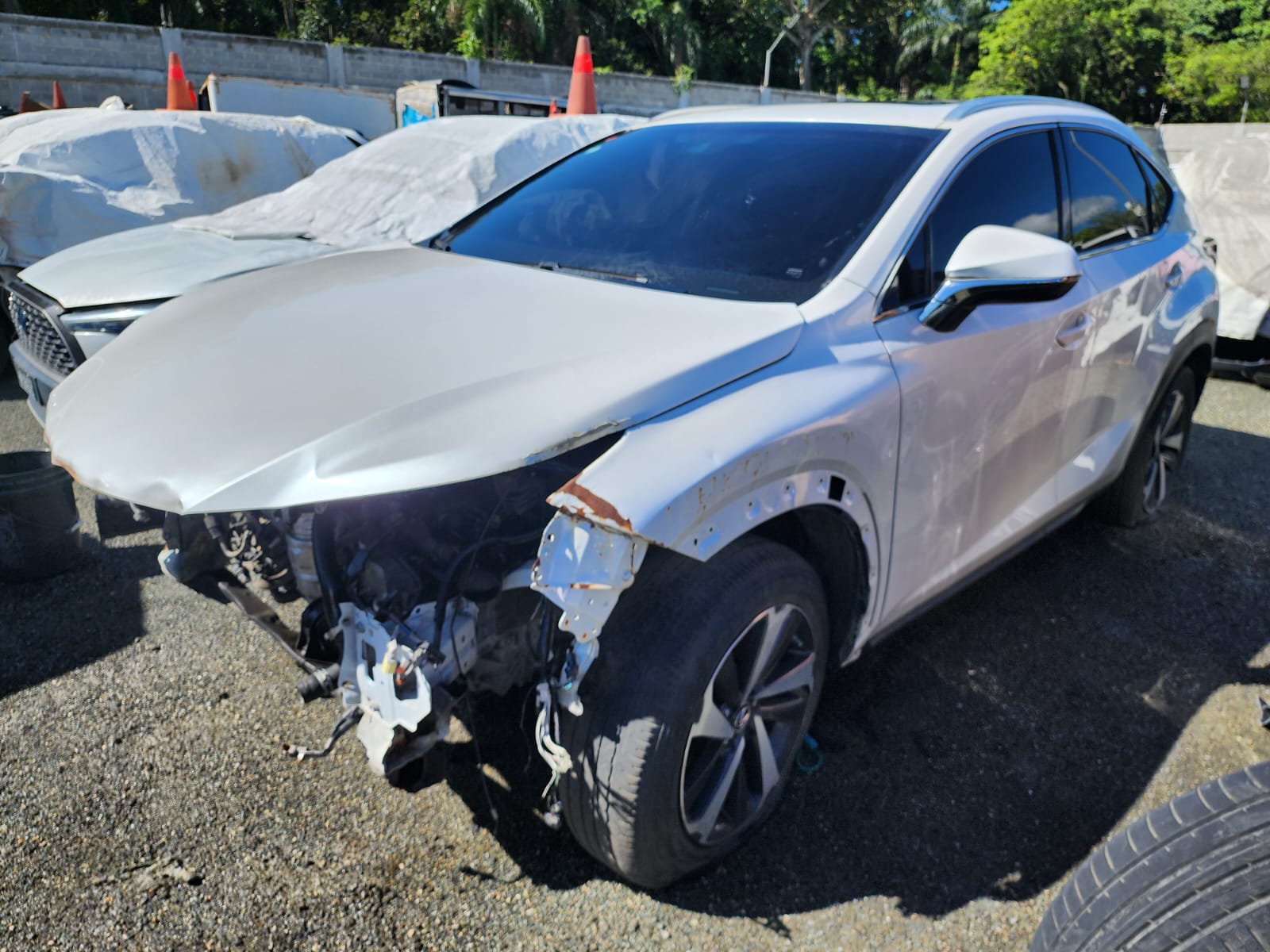 LEXUS NX300 2019 🔑#SIT.8-0309 - Imagen 4